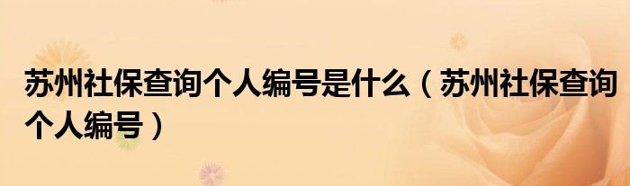 蘇州社保查詢個(gè)人編號(hào)是什么（蘇州社保查詢個(gè)人編號(hào)）