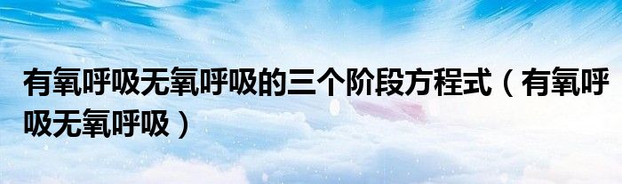 有氧呼吸無氧呼吸的三個(gè)階段方程式（有氧呼吸無氧呼吸）