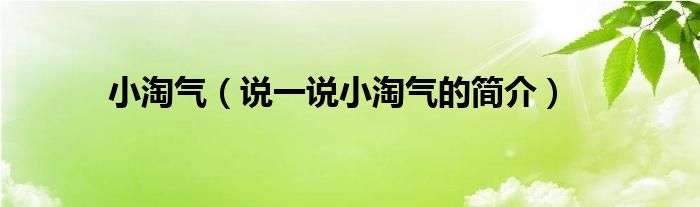 小淘氣（說一說小淘氣的簡介）