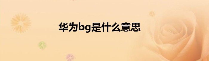 華為bg是什么意思