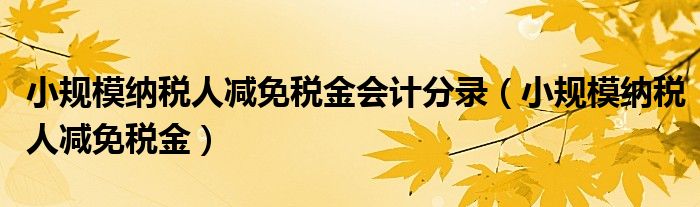 小規(guī)模納稅人減免稅金會計分錄（小規(guī)模納稅人減免稅金）