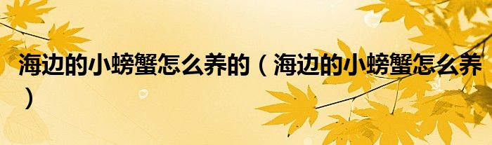 海邊的小螃蟹怎么養(yǎng)的（海邊的小螃蟹怎么養(yǎng)）