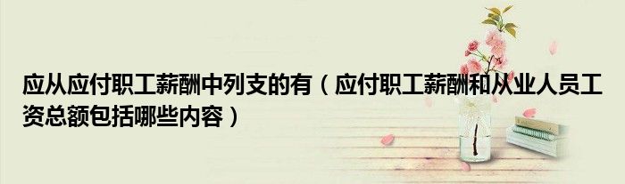 應(yīng)從應(yīng)付職工薪酬中列支的有（應(yīng)付職工薪酬和從業(yè)人員工資總額包括哪些內(nèi)容）