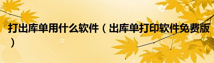 打出庫單用什么軟件（出庫單打印軟件免費(fèi)版）