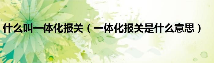 什么叫一體化報關（一體化報關是什么意思）