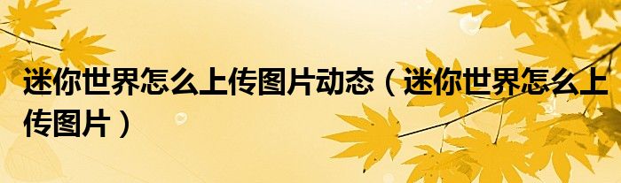 迷你世界怎么上傳圖片動態(tài)（迷你世界怎么上傳圖片）