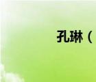 孔琳（說(shuō)一說(shuō)孔琳的簡(jiǎn)介）