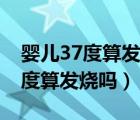 嬰兒37度算發(fā)燒嗎可以打預(yù)防針嗎（嬰兒37度算發(fā)燒嗎）
