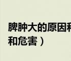 脾腫大的原因和危害吃什么藥（脾腫大的原因和危害）