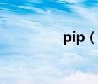 pip（說一說pip的簡介）