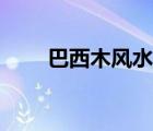 巴西木風(fēng)水?dāng)[放禁忌（巴西木風(fēng)水）