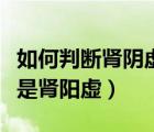 如何判斷腎陰虛還是陽虛（怎么判斷腎陰虛還是腎陽虛）