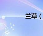 蘭草（說(shuō)一說(shuō)蘭草的簡(jiǎn)介）