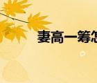 妻高一籌怎么樣（妻高一籌好看）