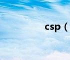 csp（說一說csp的簡(jiǎn)介）