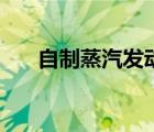 自制蒸汽發(fā)動(dòng)機(jī)車（自制蒸汽發(fā)動(dòng)機(jī)）