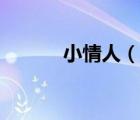 小情人（說一說小情人的簡(jiǎn)介）