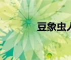 豆象蟲人吃了有毒嗎（豆象）