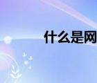 什么是網(wǎng)絡(luò)詐騙（什么是網(wǎng)絡(luò)）