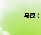 馬原（說一說馬原的簡介）