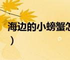 海邊的小螃蟹怎么養(yǎng)的（海邊的小螃蟹怎么養(yǎng)）