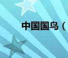 中國國鳥（說一說中國國鳥的簡(jiǎn)介）