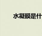 水凝膜是什么樣的（水凝膜是什么）