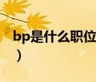 bp是什么職位的縮寫（bp是什么意思的縮寫）