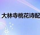 大林寺桃花詩配畫簡單（大林寺桃花詩配畫）