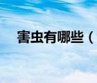害蟲有哪些（說一說害蟲有哪些的簡介）