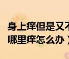 身上癢但是又不知道哪兒癢（身上癢但不知道哪里癢怎么辦）