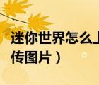 迷你世界怎么上傳圖片動(dòng)態(tài)（迷你世界怎么上傳圖片）