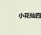 小花仙四季花語（小花仙四季）