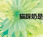 貓踩奶是想媽媽了嗎（貓踩奶）