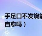 手足口不發(fā)燒能自愈嗎圖片（手足口不發(fā)燒能自愈嗎）