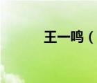 王一鳴（說一說王一鳴的簡介）