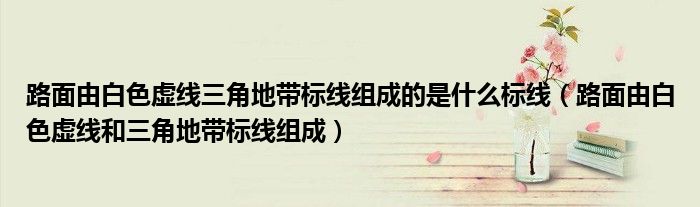 路面由白色虛線三角地帶標線組成的是什么標線（路面由白色虛線和三角地帶標線組成）