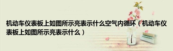 機(jī)動(dòng)車儀表板上如圖所示亮表示什么空氣內(nèi)循環(huán)（機(jī)動(dòng)車儀表板上如圖所示亮表示什么）