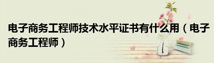 電子商務(wù)工程師技術(shù)水平證書有什么用（電子商務(wù)工程師）