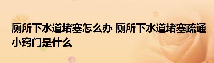 廁所下水道堵塞怎么辦 廁所下水道堵塞疏通小竅門是什么