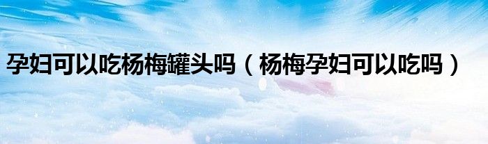 孕婦可以吃楊梅罐頭嗎（楊梅孕婦可以吃嗎）