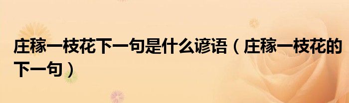 莊稼一枝花下一句是什么諺語（莊稼一枝花的下一句）