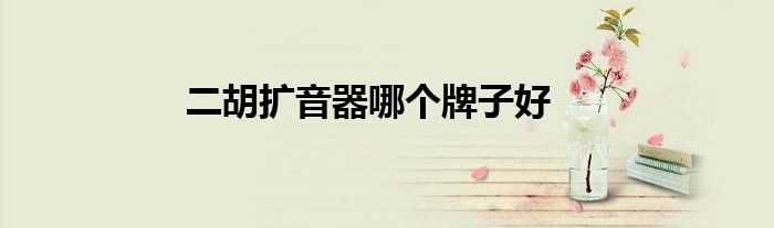 二胡擴(kuò)音器哪個(gè)牌子好