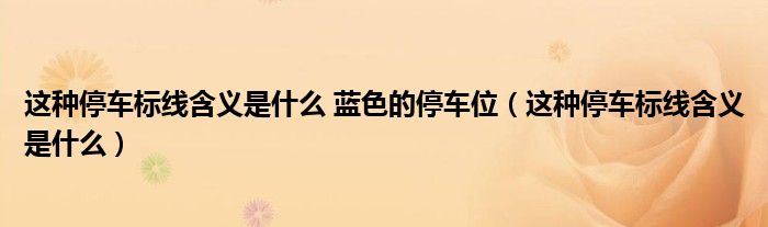 這種停車標線含義是什么 藍色的停車位（這種停車標線含義是什么）