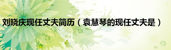劉曉慶現任丈夫簡歷（袁慧琴的現任丈夫是）