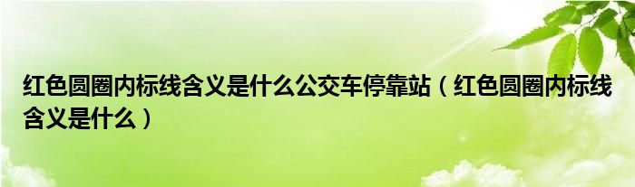 紅色圓圈內標線含義是什么公交車停靠站（紅色圓圈內標線含義是什么）