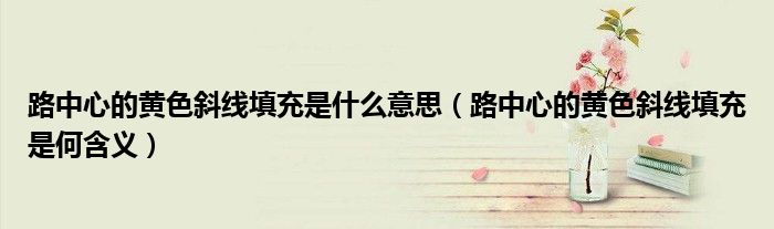 路中心的黃色斜線填充是什么意思（路中心的黃色斜線填充是何含義）