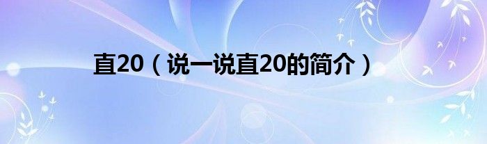 直20（說一說直20的簡介）