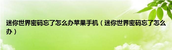 迷你世界密碼忘了怎么辦蘋果手機(jī)（迷你世界密碼忘了怎么辦）
