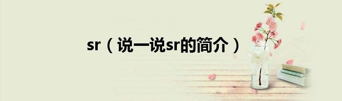sr（說一說sr的簡介）
